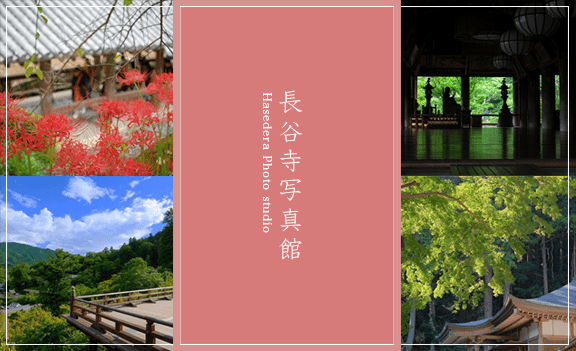 奈良大和路の花の御寺 総本山 長谷寺 奈良大和路の花の御寺 総本山 長谷寺